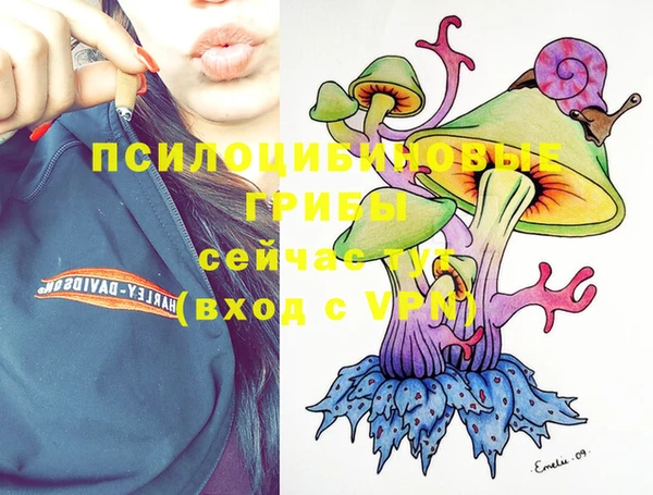 спайс Заволжск